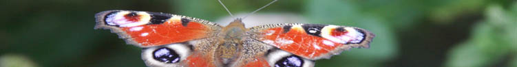 statistiques biodiversite