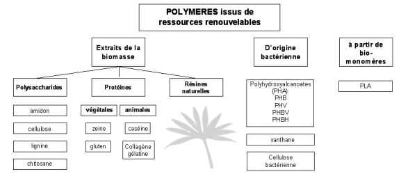 bioplastiques.JPG