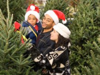 achat sapin noel